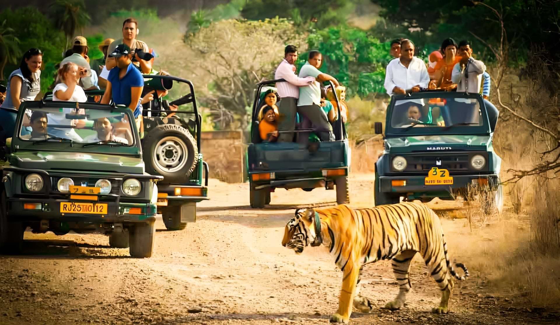 Tiger Safari in Ranthambore National Park with Jeep Tour Ranthambore Tiger Safari Jeep