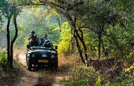 Jaipur to Ranthambore Outstation Ride Jaipur to Ranthambore