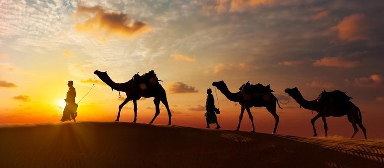 Jaisalmer image