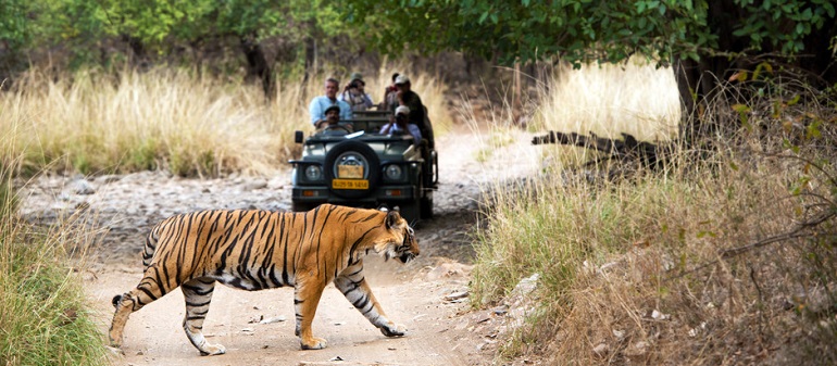Jaipur to Ranthambore Taxi Service