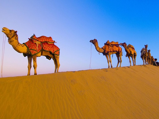 desert jaisalmer img